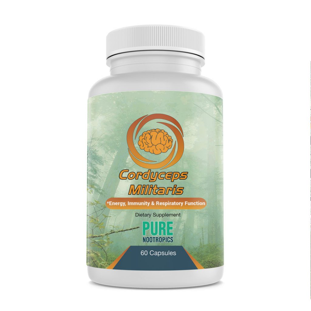 Boost Your Immune System with Cordyceps Mushroom